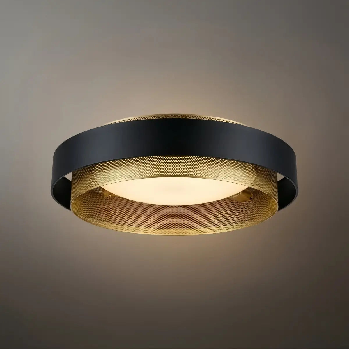 Excelis Modern Ring Ceiling Light